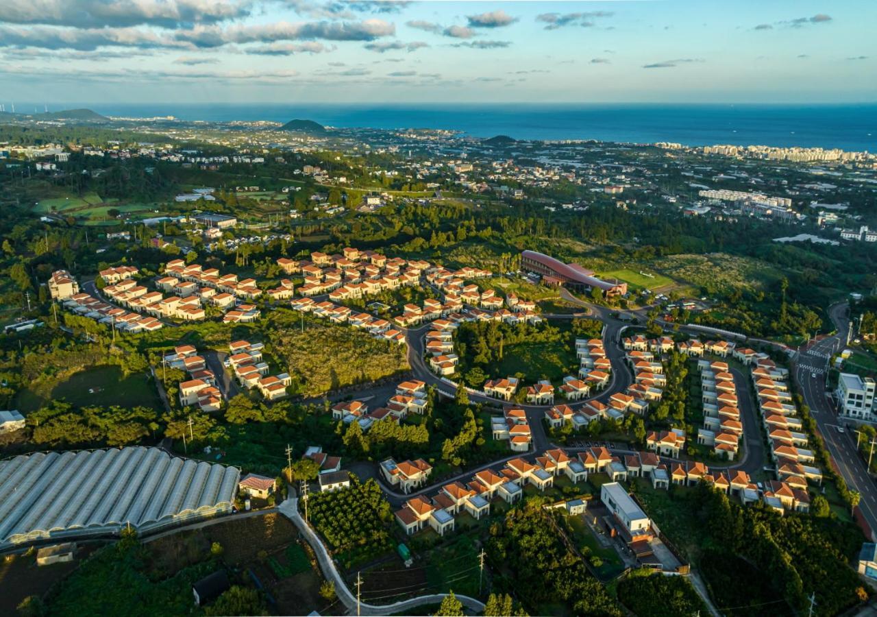 Camphortree Hotel And Resort Jeju Buitenkant foto